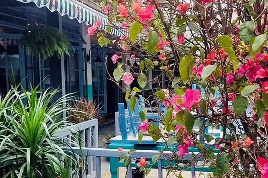 济源市实验幼儿园:亲子读书会,提升亲子绘本阅读能力_MK电竞(图2) MK电竞