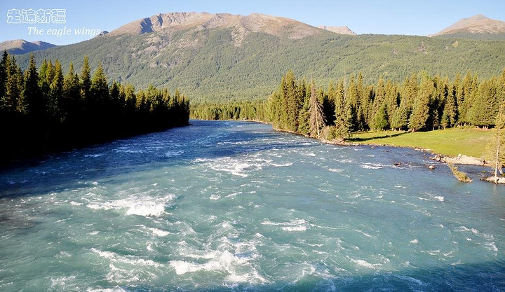 ‘MK电竞’诺贝尔文学奖错失20位大师(图3) MK电竞