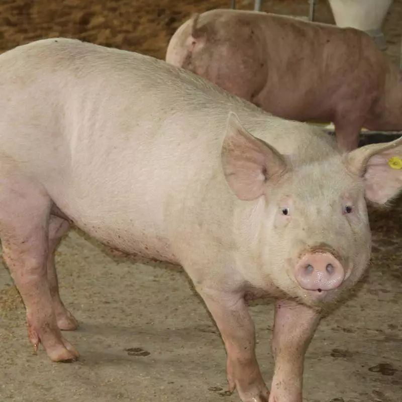 MK电竞-学美术要花几多钱？1分钟相识，你的钱包准备好了吗