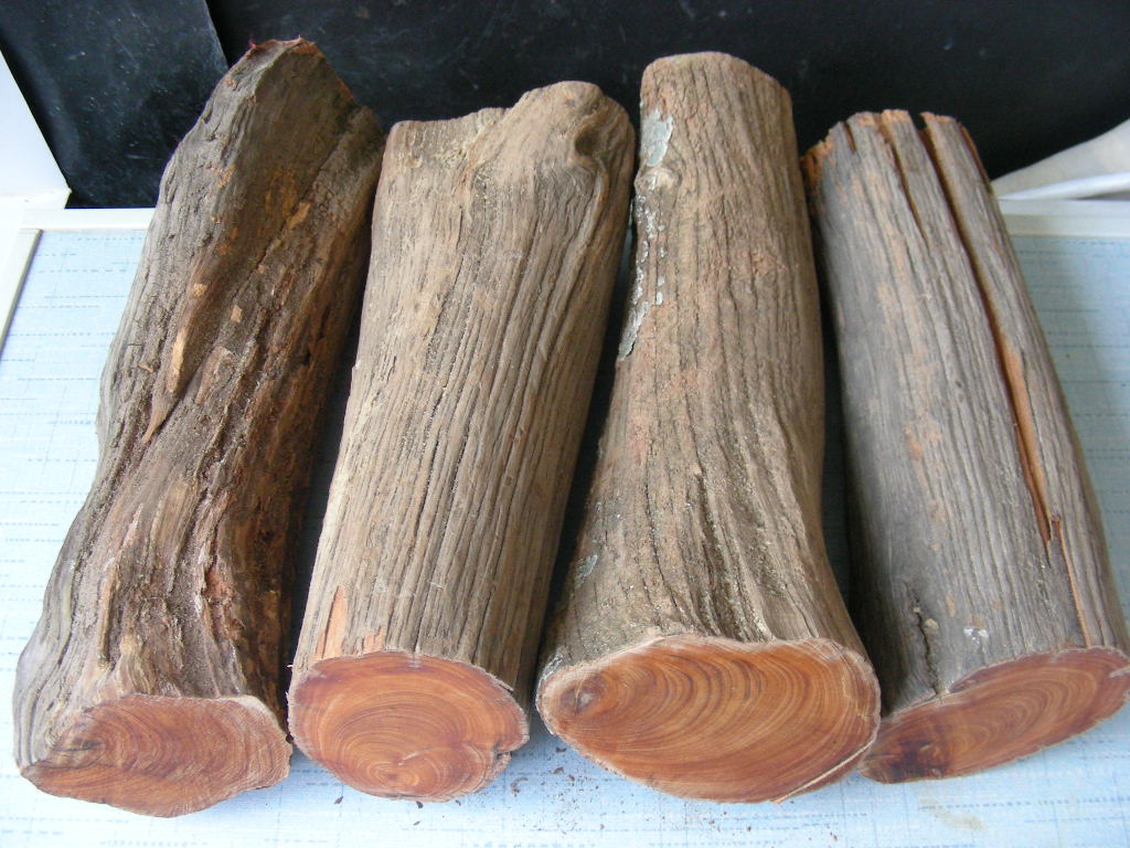 MK电竞：PPTV聚力“超体”媒体推介会：内容技术同步进化