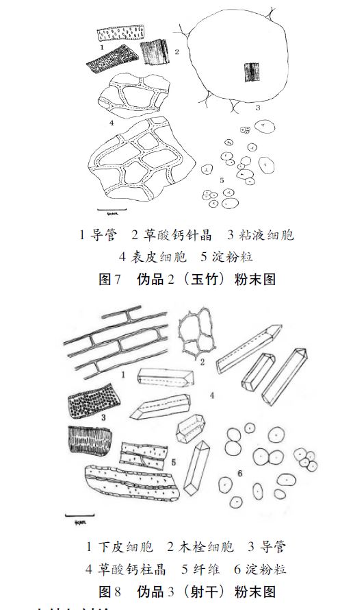 青羊区小学英语教研员刘文可工作坊“玩转绘本”专题活动在实小西