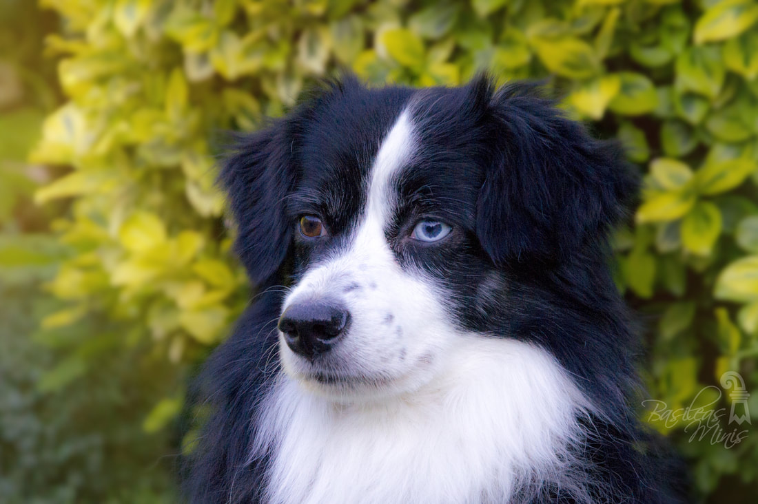 MK电竞|如何用创意引领社交媒体前沿—星空联盟“因你而不同”活动完美收官(图1) MK电竞