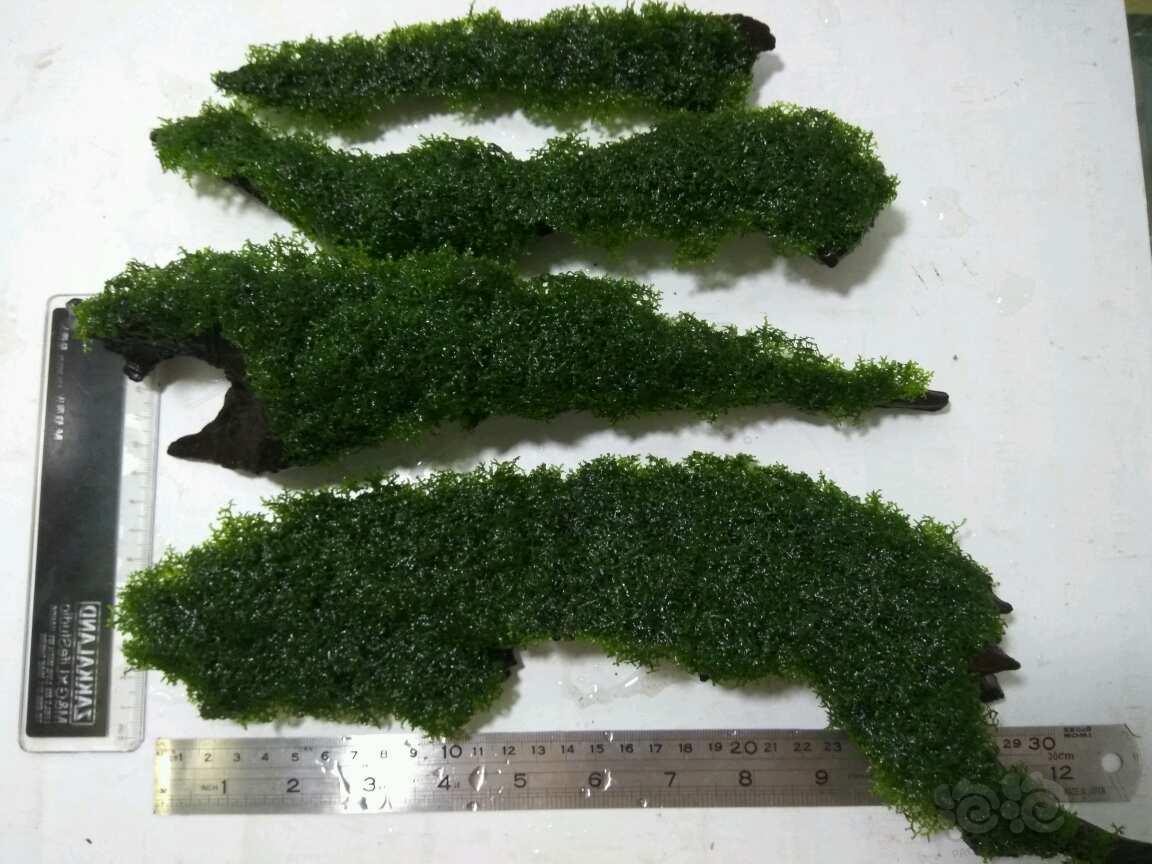 MK电竞：渑池县尚德幼儿园：爱的传递心的交流