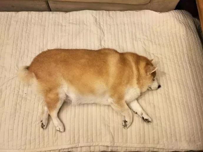 MK电竞|2017有道词典首届世界脑洞全开赛完美收官