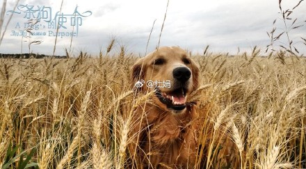 ‘MK电竞’
简述东汉王朝阉人崛起的始末 一段开启潘多拉魔盒一般的很是故事(图4) MK电竞