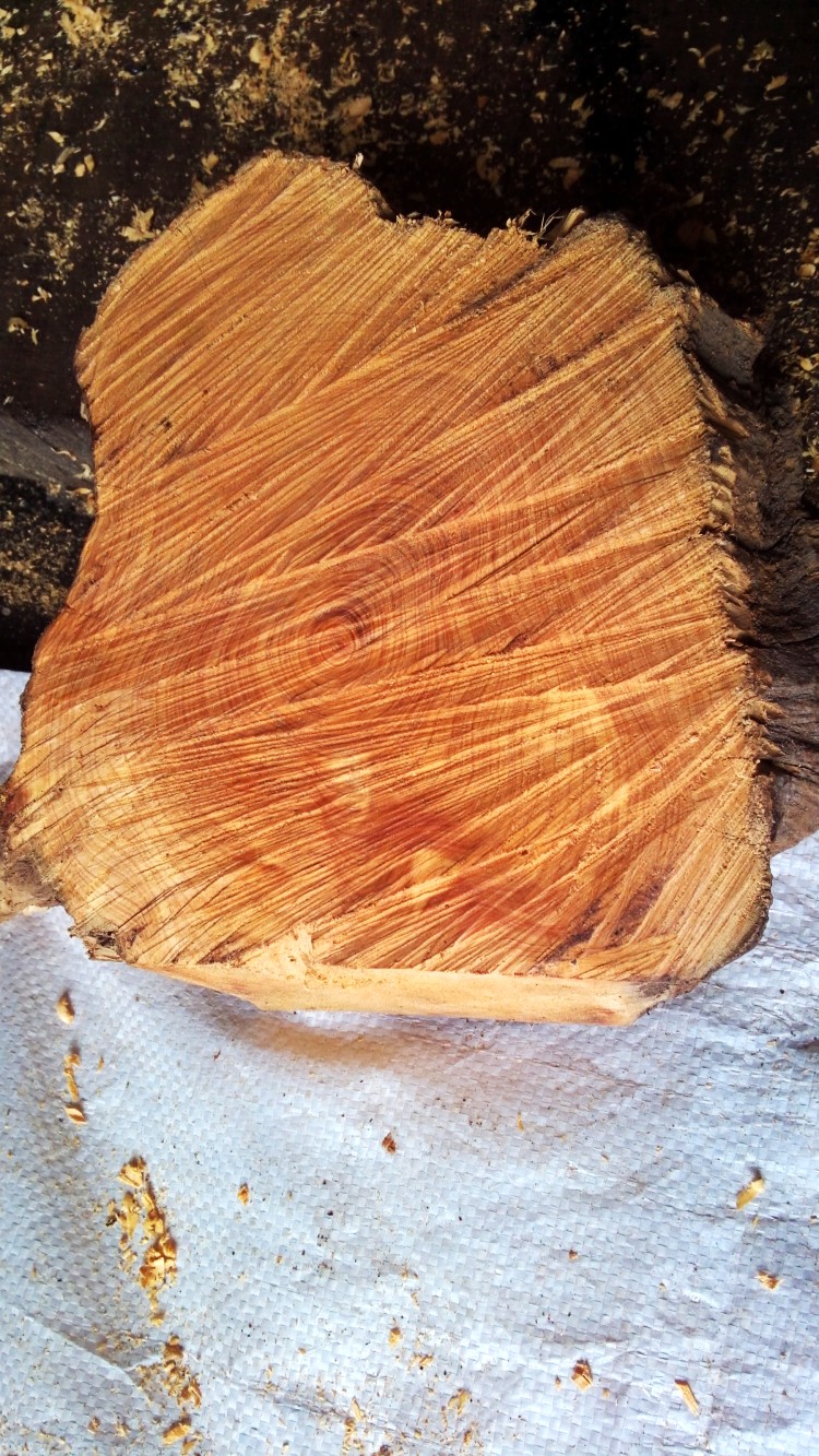 MK电竞_
转以下几家名称大气的团体公司