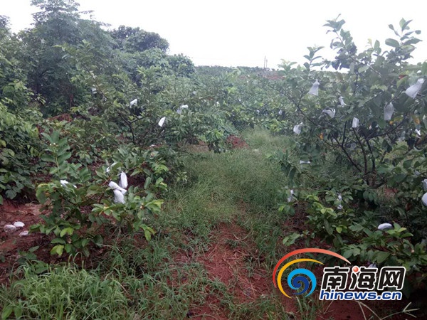 ‘MK电竞’
新《广告法》对互联网影响有多大?(图2) MK电竞