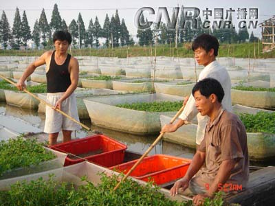 历史上真实的王重阳|MK电竞