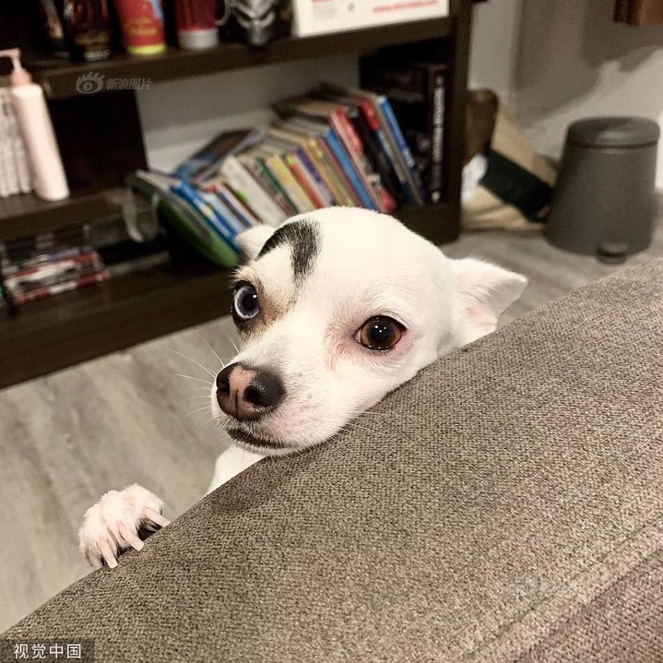 未来可期不说再见荷花池小学举行2019届毕业典礼-MK电竞